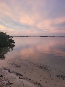 Parrot Cove Marina photo 2