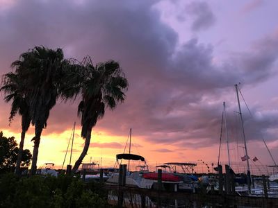 Parrot Cove Marina photo 3