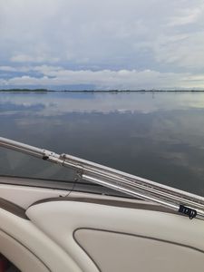 Parrot Cove Marina photo 8