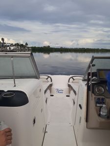 Parrot Cove Marina photo 9