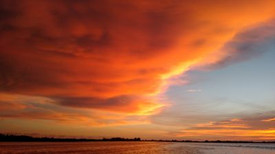 Parrot Cove Marina photo 12