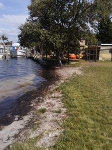 Parrot Cove Marina photo 13