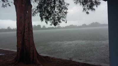 Parrot Cove Marina photo 15