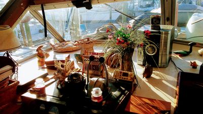 Parrot Cove Marina photo 16