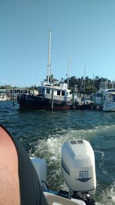 Parrot Cove Marina photo 17