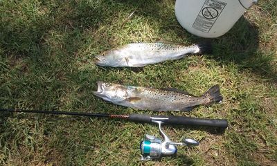 Parrot Cove Marina photo 18