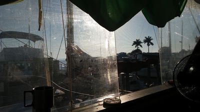 Parrot Cove Marina photo 24