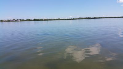 Parrot Cove Marina photo 31