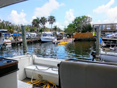 Parrot Cove Marina photo 36