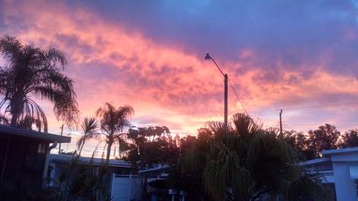 Parrot Cove Marina photo 37