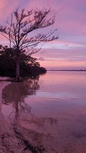 Parrot Cove Marina photo 38