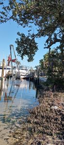 Parrot Cove Marina photo 39