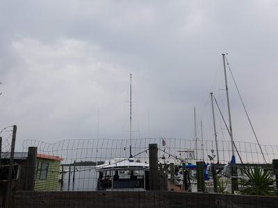 Parrot Cove Marina photo 40