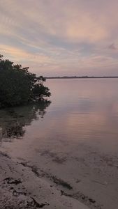 Parrot Cove Marina photo 42