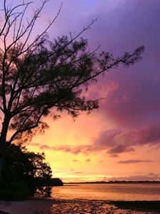 Parrot Cove Marina photo 43