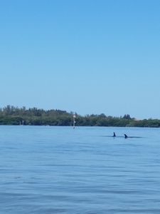 Parrot Cove Marina photo 46