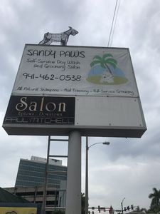 Sandy Paws Grooming & Dogwash photo 15