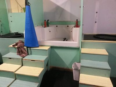 Sandy Paws Grooming & Dogwash photo 35