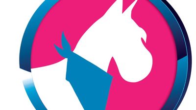 Exclusive C&D Grooming photo 28