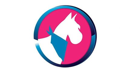 Exclusive C&D Grooming photo 29