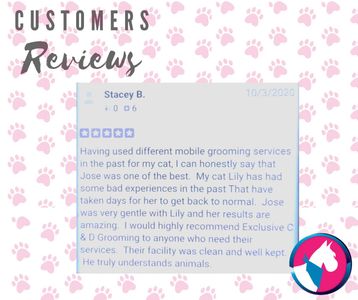 Exclusive C&D Grooming photo 30