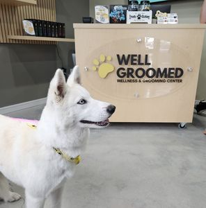 Well Groomed Pets West Bradenton photo 16