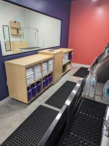 Well Groomed Pets West Bradenton photo 23