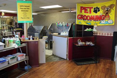 Pup In A Tub Pet Grooming Bradenton FL photo 3