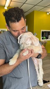 EZ Breezy Dog Grooming photo 35