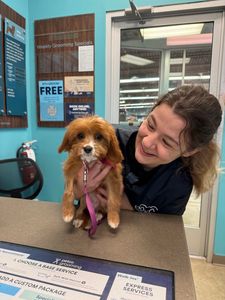 Petco Grooming photo 11