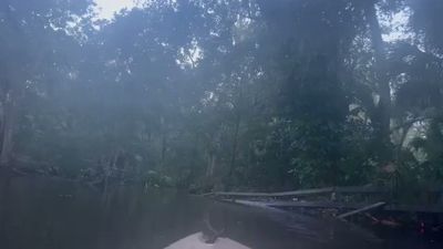 Griggs Plumbing Co photo 2