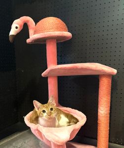 Griggs Plumbing Co photo 17