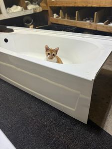 Griggs Plumbing Co photo 19