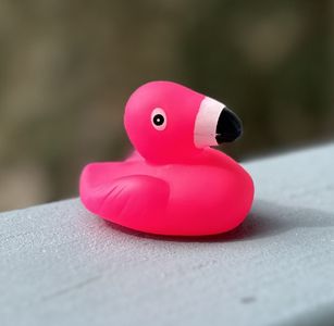 Griggs Plumbing Co photo 29