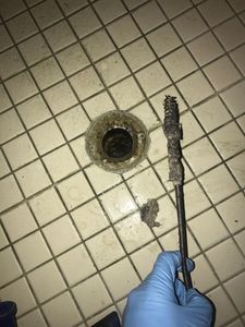 Mr. Rooter Plumbing of Bradenton photo 28