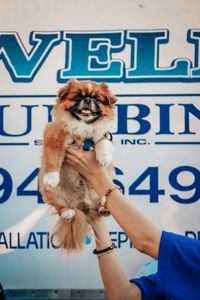 Sewell’s Plumbing & Air Services photo 6