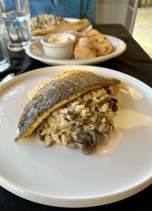 Sofra Kitchen Bar & Bistro photo 4