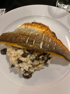 Sofra Kitchen Bar & Bistro photo 24