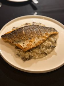 Sofra Kitchen Bar & Bistro photo 44