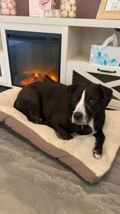 Spa-NorthWest photo 9