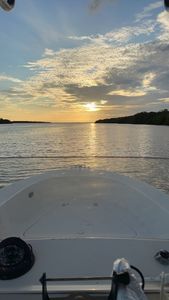 Coastal Cay Marine LLC. photo 14