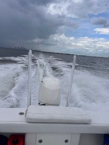 Coastal Cay Marine LLC. photo 30