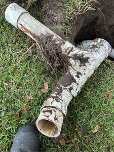 Florida Plumbers photo 16