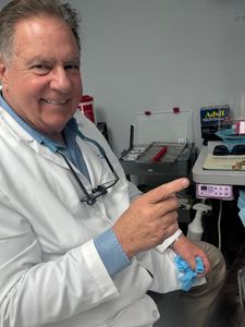 Apollo Beach Dental Excellence photo 46