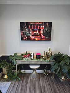 Precision TV Mounting & Smart Home
