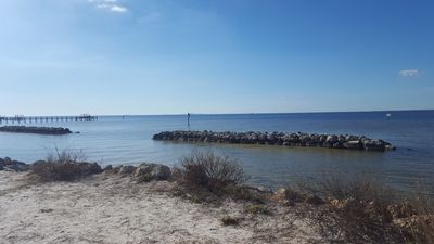 Apollo Beach Marina photo 3