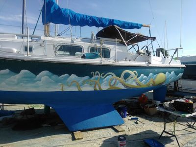 Apollo Beach Marina photo 14