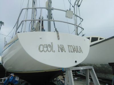 Apollo Beach Marina photo 16