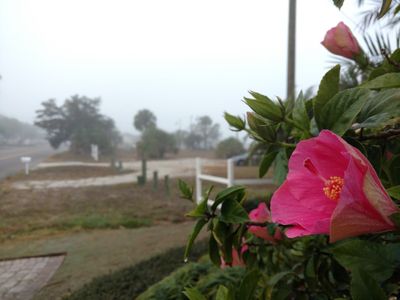 Apollo Beach Marina photo 17