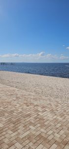 Apollo Beach Marina photo 26